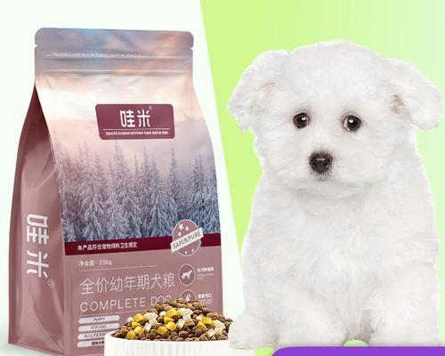 狗狗呼吸困难怎么办？如何快速识别和应对？