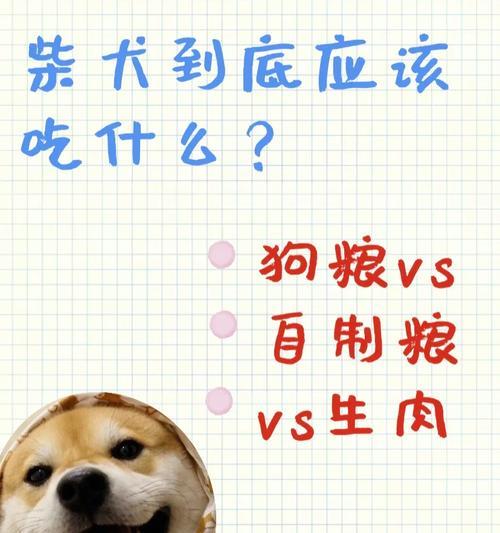 柴犬打虫药应该吃多少？如何正确给柴犬驱虫？