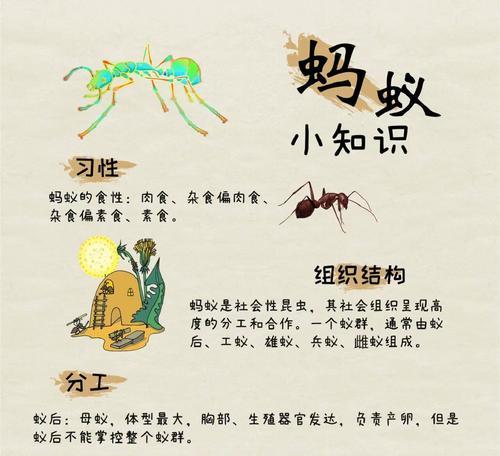 蚂蚁对猫粮不感兴趣的原因是什么？