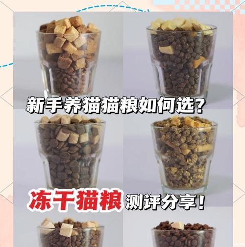 果冻用的猫粮怎么做的?自制果冻猫粮的步骤是什么?