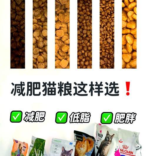 高甘油三酯猫咪应选择哪种猫粮？