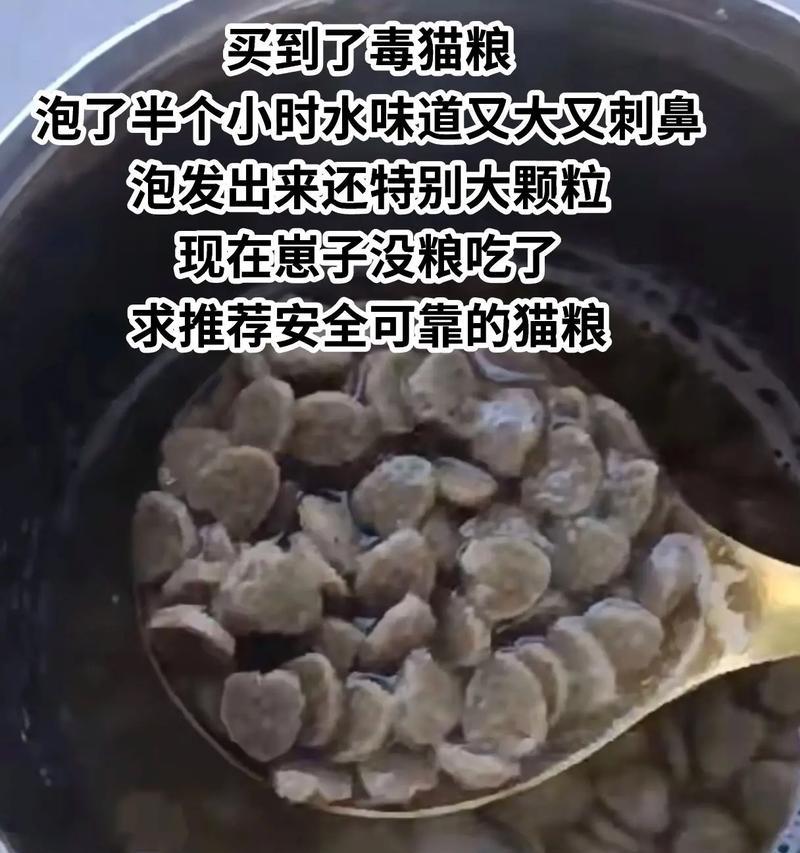 猫脱肛时泡猫粮的正确方法是什么？