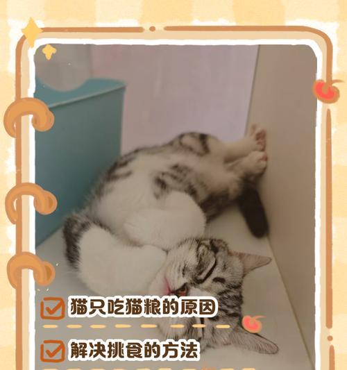 如何让猫咪改吃猫粮?