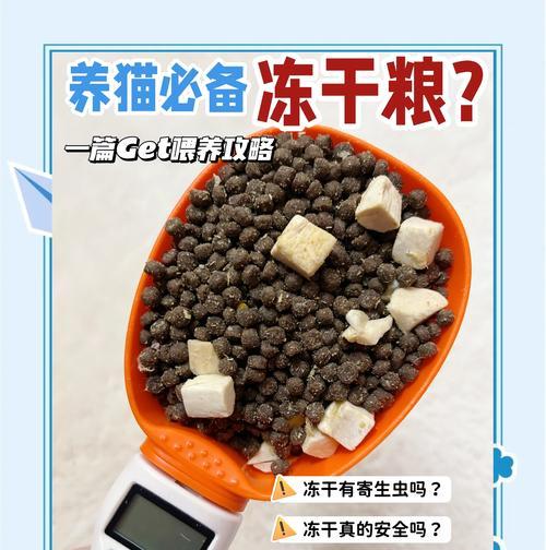 冻干猫粮是如何生产的？为什么冻干猫粮会更美味？