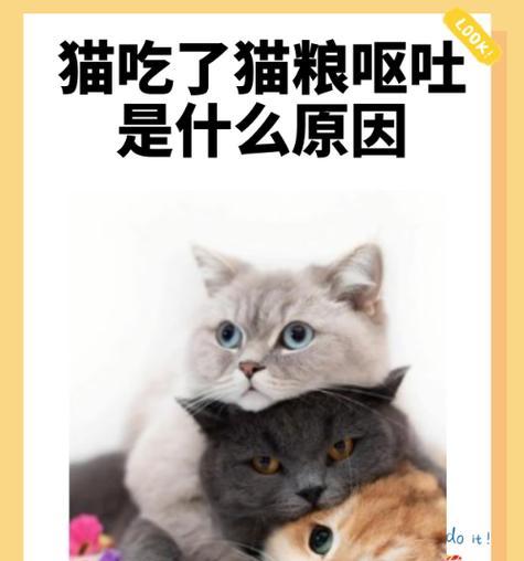猫咪吃猫粮摇头是什么原因?需要担心吗?