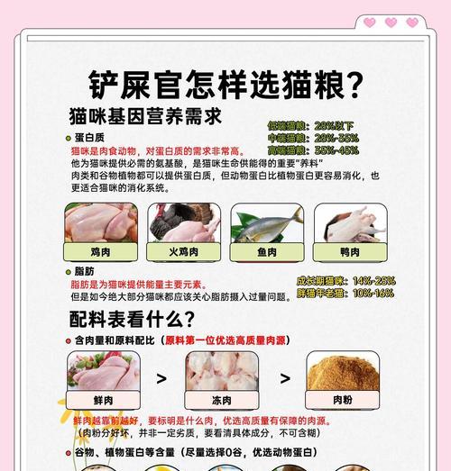 在小区楼道放置猫粮合适吗?如何避免引起纠纷?