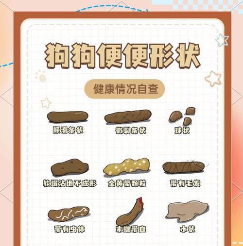 狗狗拉羊驼粑粑?这是什么原因导致的?
