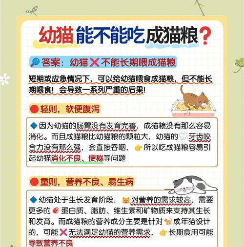 满月小猫缺少猫粮时的应急措施是什么?