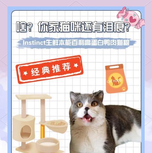 猫咪有泪痕适合哪种口味的猫粮?如何改善?