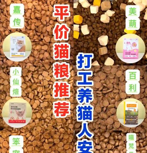 晋州什么地方卖猫粮便宜?哪里能找到性价比高的猫粮?
