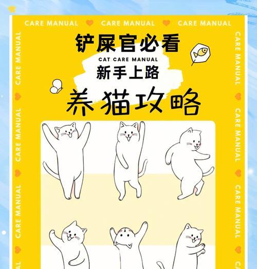 如何训练猫咪吃奶泡粮?