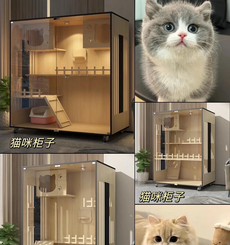 猫粮猫砂猫窝的最佳摆放位置是什么?如何布置猫咪的生活区?