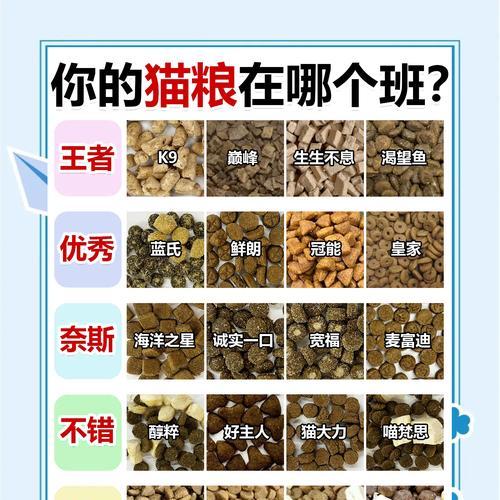 猫粮的种子是如何种出来的?种猫粮的种子有什么技巧?