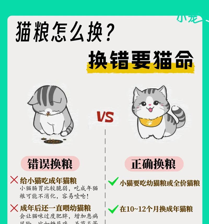 猫咪什么时候换成猫粮?如何判断猫咪是否需要更换猫粮?