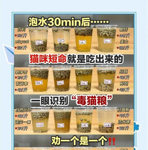 猫粮作为钓饵比例如何调整?效果如何?