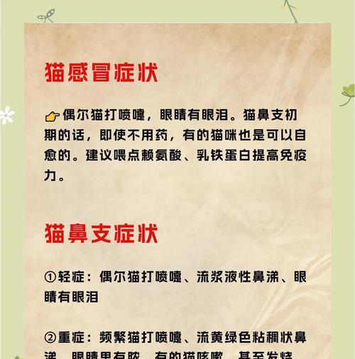 猫感冒时加猫粮好吗？原因是什么？