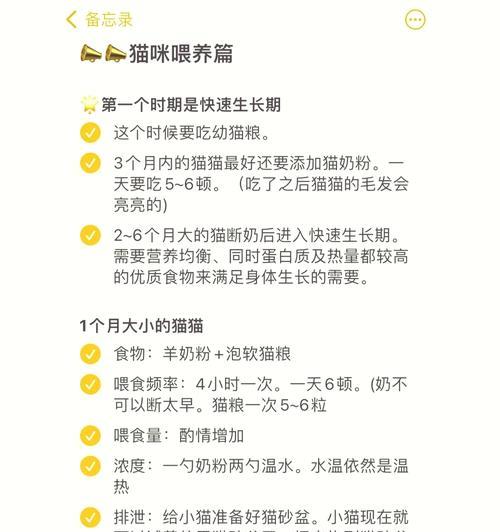 断奶期猫咪鲜粮喂养的最佳方式？