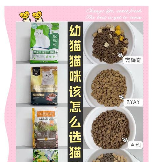如何喂养幼猫使其发胖?选择什么样的猫粮合适?