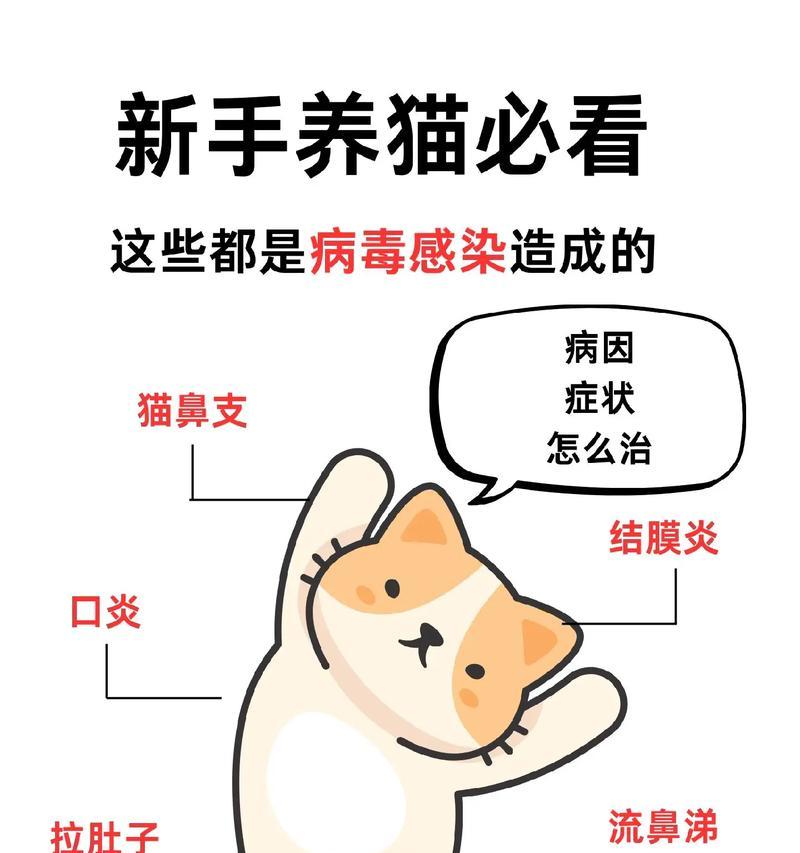 猫咪不吃猫粮且咳嗽是什么原因?