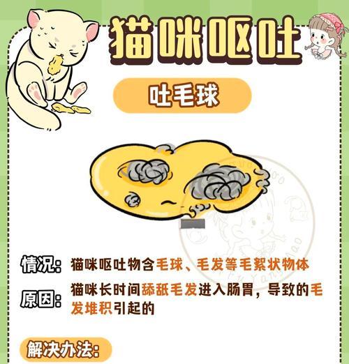 猫咪完整吐出猫粮可能的原因是什么?