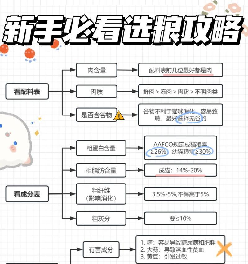 寄猫粮到国外,如何选择最经济的方式?