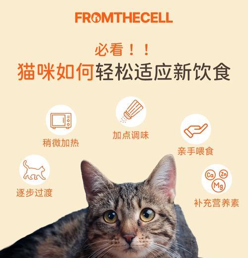 猫粮更换的正确方法是什么?