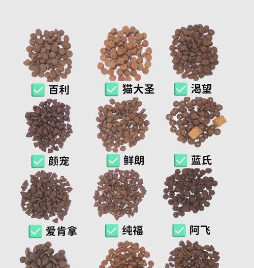 开饵料时猫粮的正确使用方法是什么?