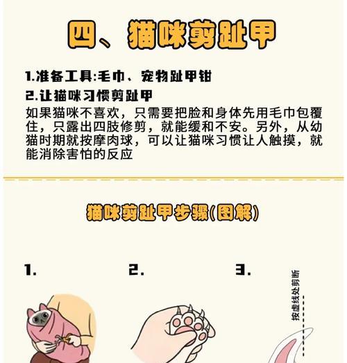 猫粮洗澡后如何吹干?需要特别注意什么?