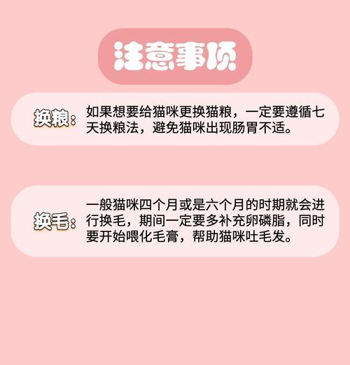 小奶猫的喂养指南是什么?如何选择合适的小奶猫猫粮?