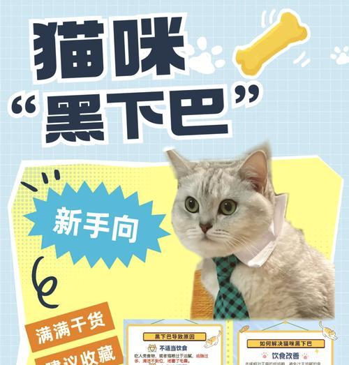 猫粮掉渣导致黑下巴怎么处理?