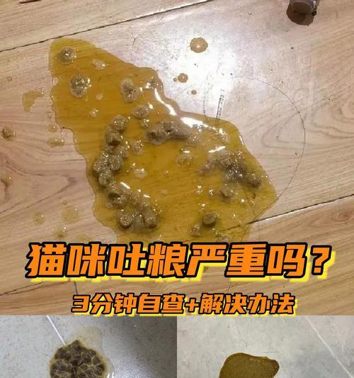 猫粮混合罐头会导致猫咪呕吐吗?原因是什么?