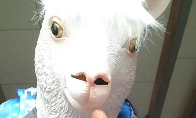 羊驼牵引头套的制作方法是什么?
