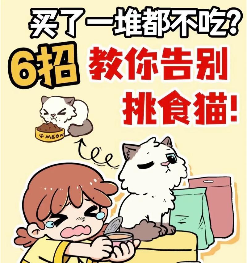 小猫吃成猫粮不拉屎怎么回事？如何解决小猫的消化问题？