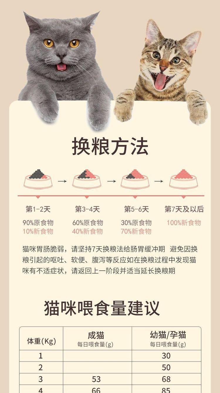 猫咪发现大量猫粮是怎么回事?是否需要担心?