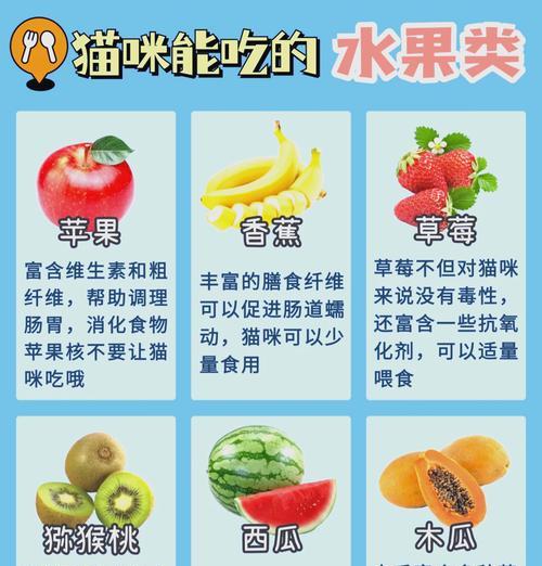 猫咪长期只吃猫粮是否正常?如何增加饮食多样性?