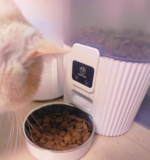 猫粮自动投粮机怎么用?操作步骤是什么?