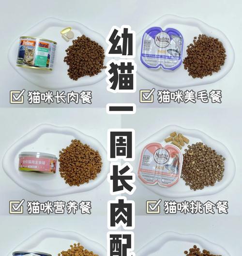 如何制作美味的鱼肉猫粮？有哪些步骤？