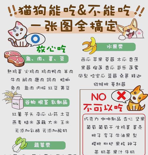 狗狗吃猫粮时小猫护食该如何处理？