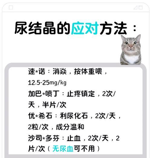 猫不吃猫粮尿多正常吗怎么回事?可能的原因有哪些?