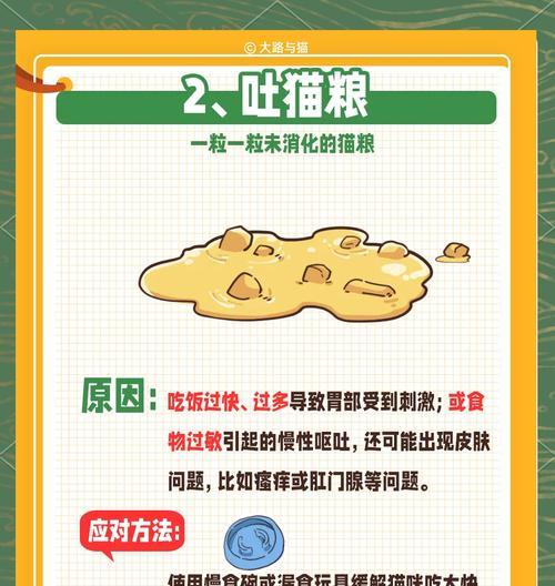 猫刚吃猫粮就吐了怎么办?如何预防?