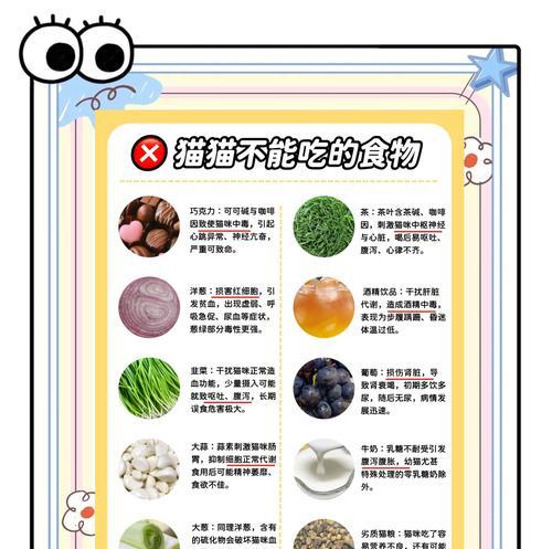 猫只吃猫粮怎么办?如何调整猫咪的饮食习惯?