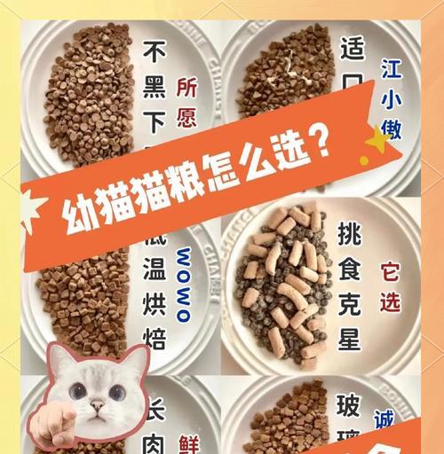 小猫应该使用什么类型的碗装猫粮和水?选择标准是什么?