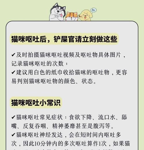 猫咪呕吐后应如何正确喂食?