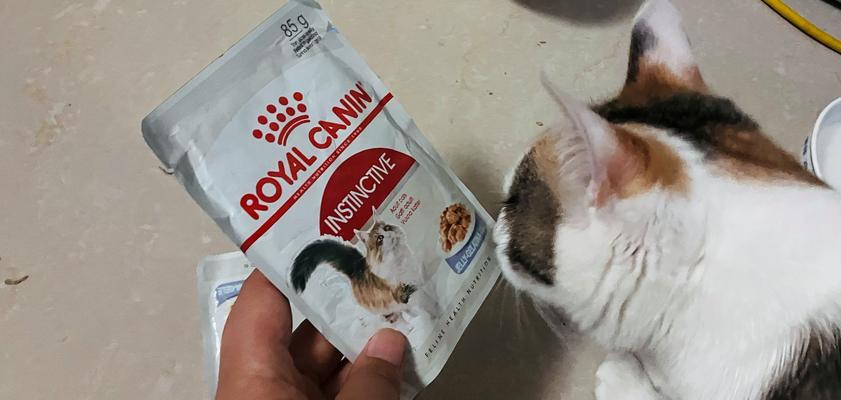 皇家猫粮附赠的猫窝安装步骤是什么?