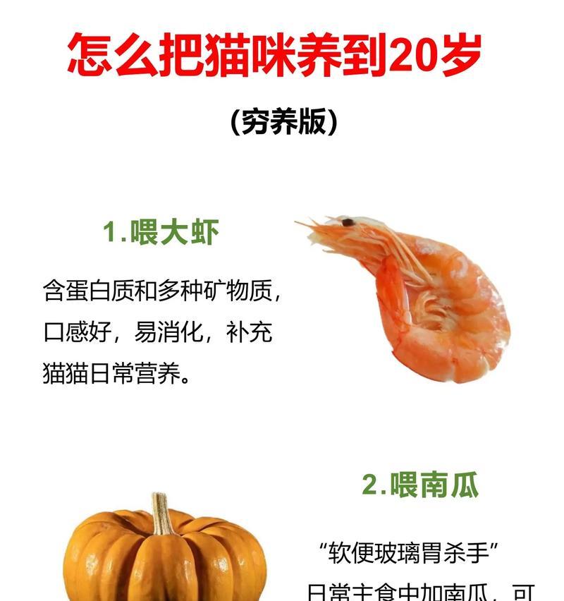 成猫不爱吃猫粮是什么原因?如何解决成猫不爱吃猫粮的问题?