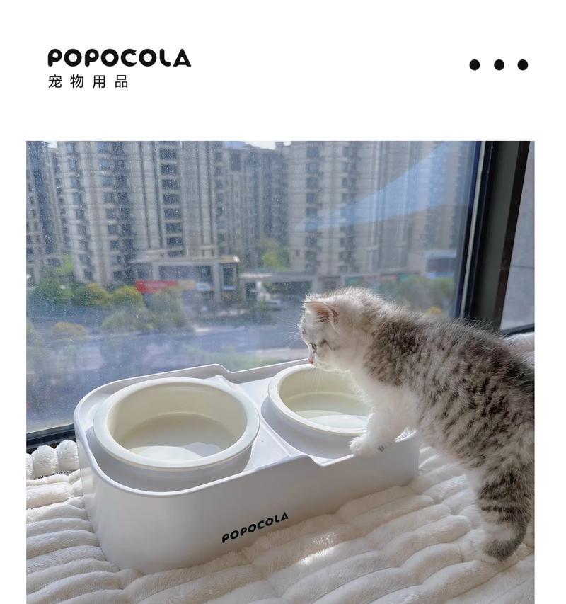 陶瓷猫粮碗碎了该如何解决?