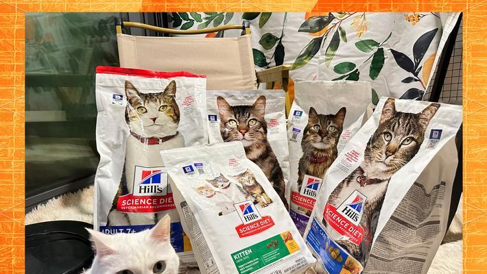 希尔斯猫粮的质量如何?适合哪些类型的猫咪?