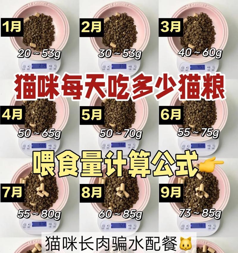 猫的饭量如何控制喂猫粮更健康?喂猫粮有哪些技巧?