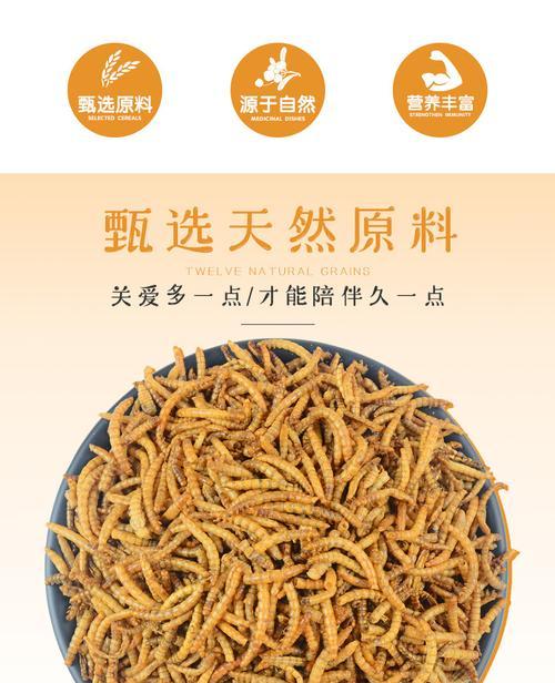 猫吃龟粮面包虫会死吗?原因是什么?