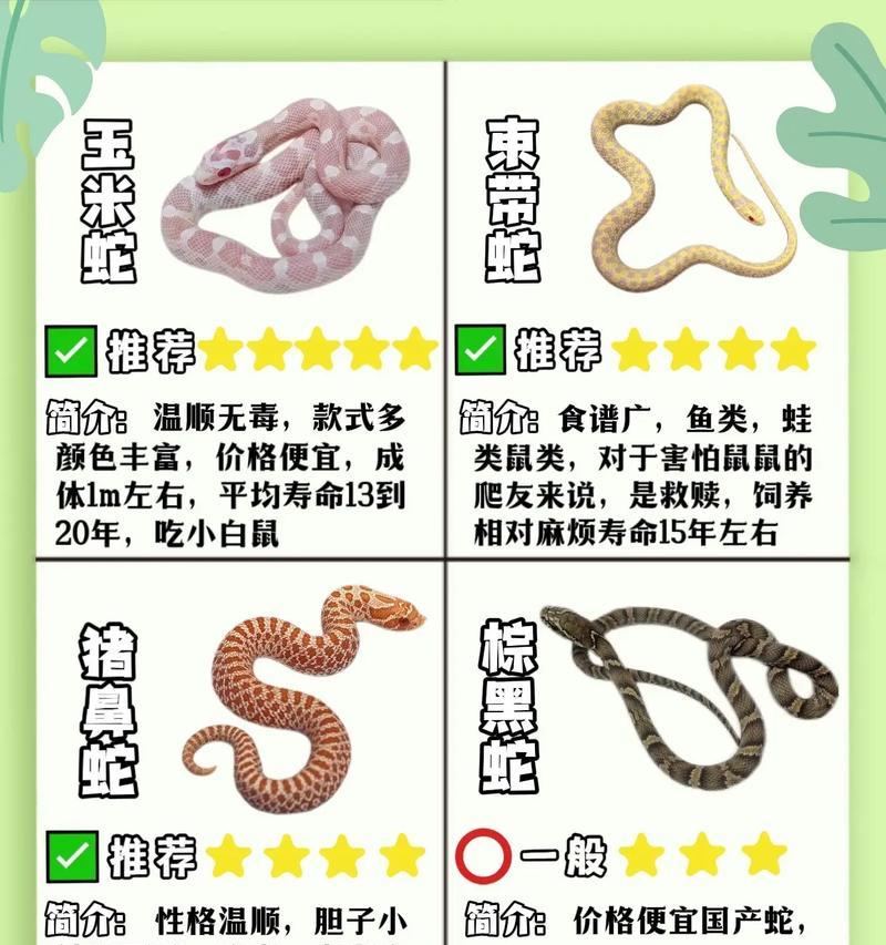 玉米蛇能吃猫粮吗怎么喂?鲜猫粮为什么还要除菌?